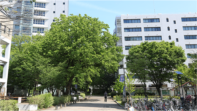 本学職員の方